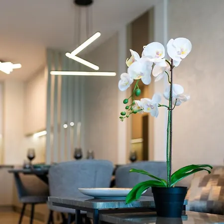 Sky Symphony Apartment *