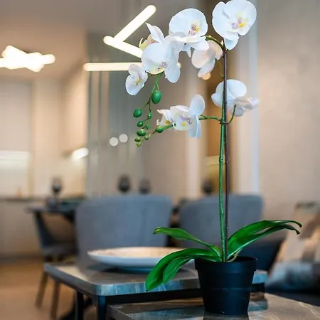 Sky Symphony Апартамент *