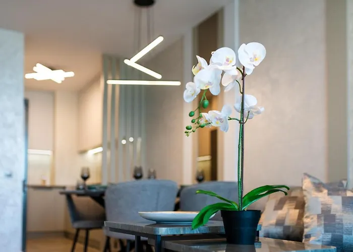 Sky Symphony Apartment *