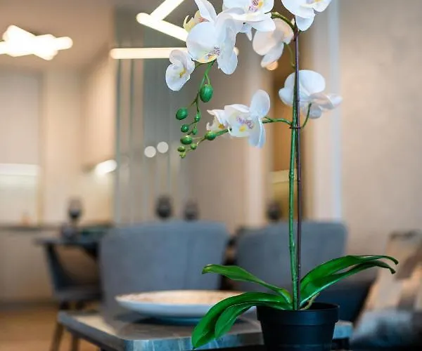 Sky Symphony Apartment *